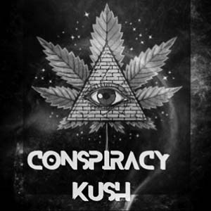 Conspiracy Kush