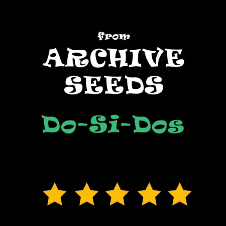 archive seeds do-si-dos cannabis thc flower